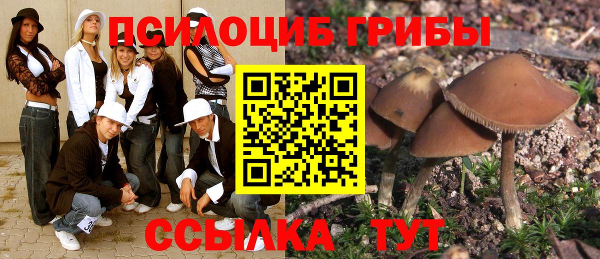 Старая Купавна  КОКАИН  Alpha PVP СОЛЬ кристаллы  Меф кристаллы  Вход с VPN  Бошки Шишки  ГАШИШ 