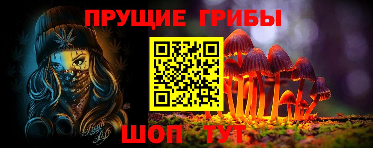 Псилоцибиновые грибы прущие грибы  Вход с VPN  купить  сайты  Старая Купавна 